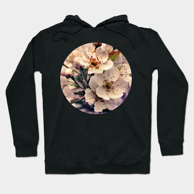 Blossoms at Dusk Hoodie by micklyn